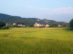 -红山村