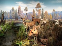 -陕西自然博物馆