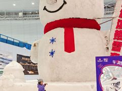 -哈尔滨热雪奇迹