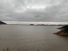 -北岐滩涂