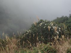 -七娘山