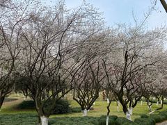 -杭州植物园