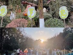 -杭州少年儿童公园
