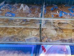-倍儿美海鲜大排挡·非遗海鲜蒸饺(洋货店)