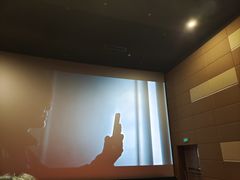 -曹杨影城(曹杨店)