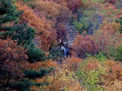 -狼牙山风景区
