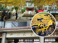 -四川大学(华西校区)