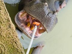 -杭州野生动物世界