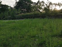 -幕燕滨江·长江观音景区