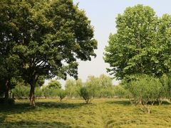 -上海汽车博览公园-北门停车场