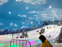 -世界之窗阿尔卑斯冰雪世界