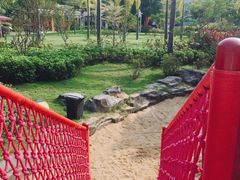-荔湾区儿童公园
