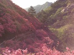 -木兰云雾山