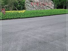 -东平国家森林公园
