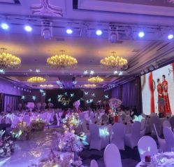 -曼格纳婚礼艺术中心(张江店)