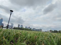 -桐乡凤凰湖