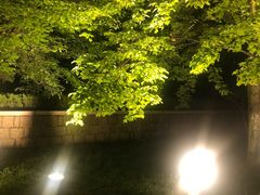 -青岛大学(金家岭校区)