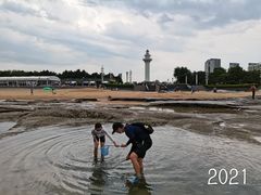 -日照灯塔风景区