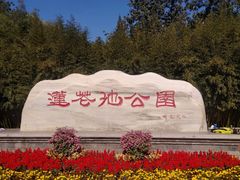 -莲花池公园