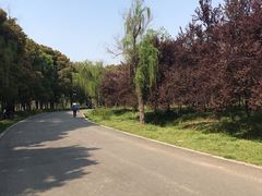 -蜀冈西峰生态公园