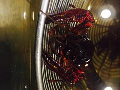 -虾弄弄海派小龙虾·牛羊蝎子火锅