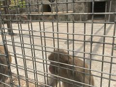 -南京金牛湖风景区