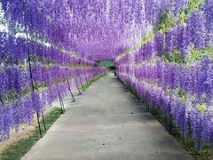 -观澜湖生态运动公社
