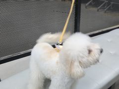 -無弓射箭俱乐部(领展中心城店)