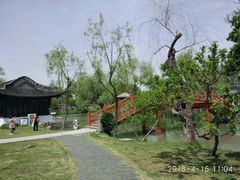 -盆景园(扬州大运河文化旅游度假区)