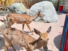 -水上乐园·欢乐世界