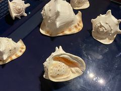 -青岛贝壳博物馆