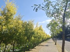 -漩门湾国家湿地公园