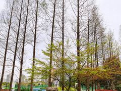 -黄兴公园