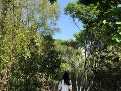 -长白岛森林公园