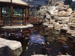 龙达温泉生态城-龙达温泉生态城