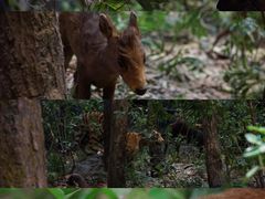 -浙江自然博物院(杭州馆)