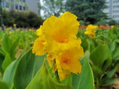 -西北农林科技大学(北校区)