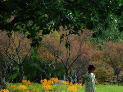 -白塘生态植物园