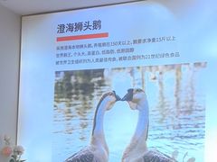 -陆记鹅庄·潮汕菜·狮头鹅(大仟里店)