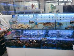 -日照大牌檔•小船海鲜(万平口店)