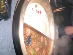-九鼎轩脆毛肚火锅(南京东路店)