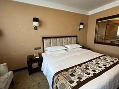 -长沙小天鹅戴斯酒店