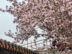 -莲池书院博物馆