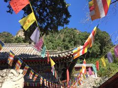-北京上方山国家森林公园