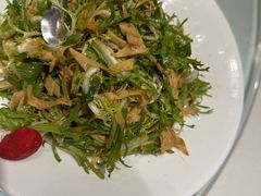 -海派美食·家宴海鲜青岛菜·石锅鲽鱼头(东方城店)