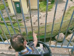-无锡动物园·太湖欢乐园