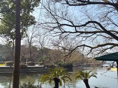 -西湖天地