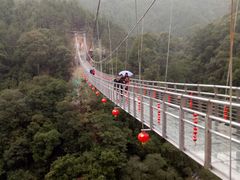 -九龙江国家森林公园