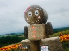 -富田农场