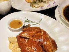 -甄御•海鲜新青岛菜(麦岛店)
